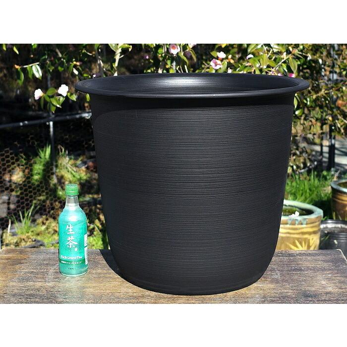 送料無料 メーカー直送 代引不可 プラ鉢 ツリー 12号 口径54cm 1箱 5個 大型 鉢カバー 花ハス スイレン Hs 062 石田精華園 Yahoo 店 通販 Yahoo ショッピング