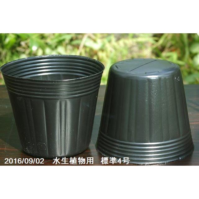 水生植物用 ポリポット（ビニールポット） 標準4号(12cm)(穴無し) 100