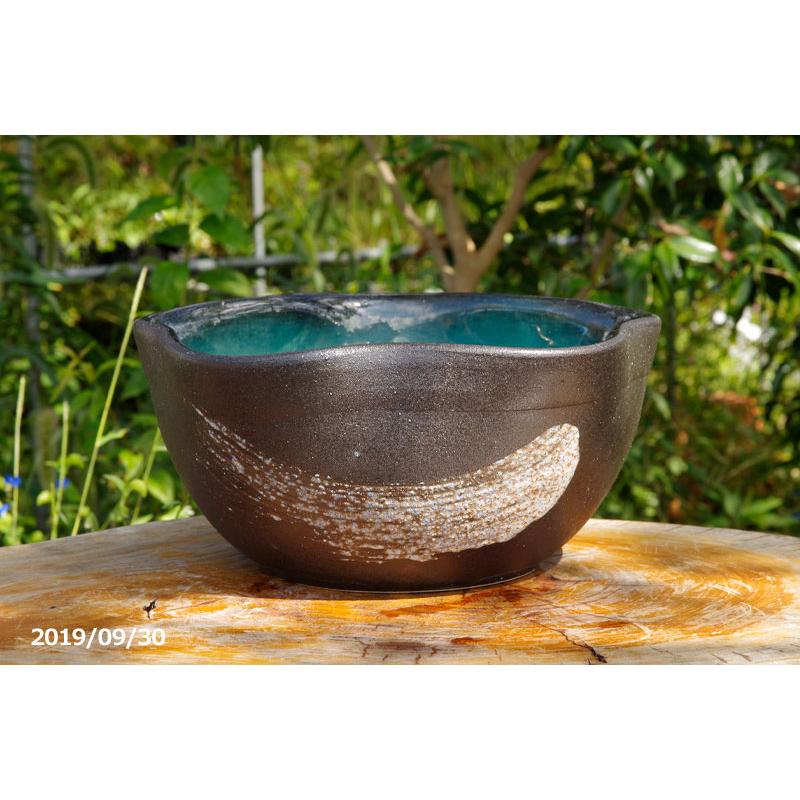 信楽焼 睡蓮鉢 緑釉刷毛目 10号（水あふれ防止小穴有）（外径31cm 高さ