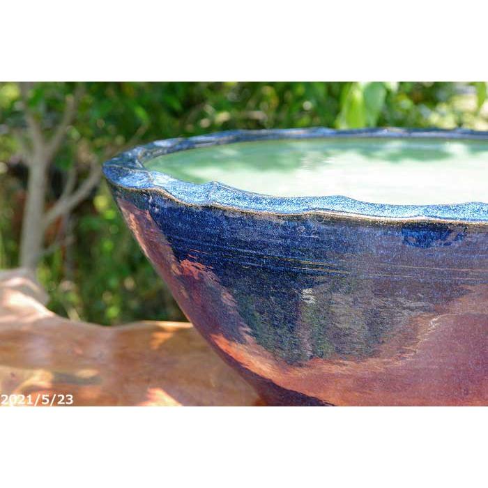 信楽焼 睡蓮鉢 生子釉水鉢 20号（外径62cm 高さ24.5cm 容量35L）【送料
