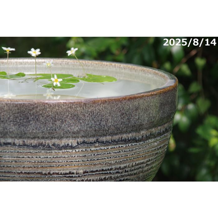 信楽焼 睡蓮鉢 天目ボール 13号（水あふれ防止小穴有）（外径40cm 高さ