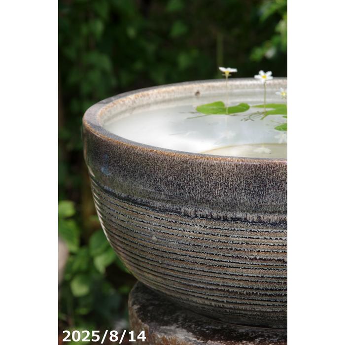 信楽焼 睡蓮鉢 天目ボール 13号（水あふれ防止小穴有）（外径40cm 高さ