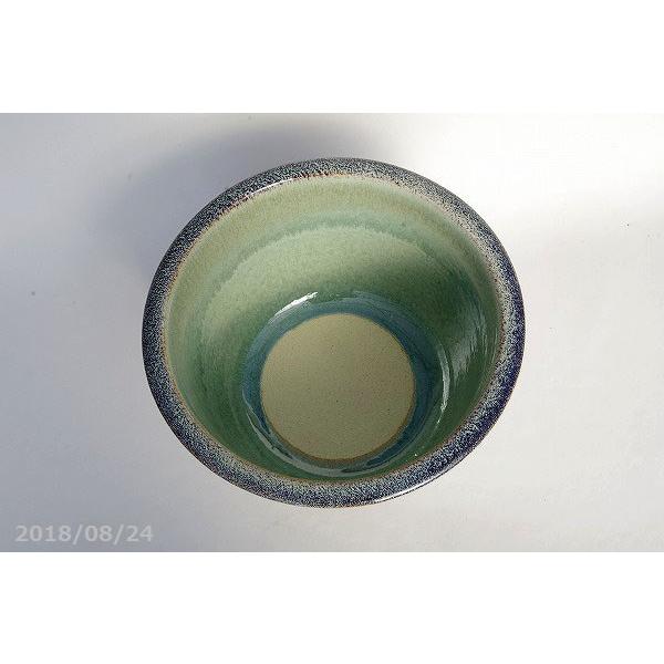 信楽焼 睡蓮鉢　天目ひねり11号（水あふれ防止小穴有）＋ヒメスイレン4号ポット＋メダカ5匹付(死着保障なし)＋肥料付きセット 【送料無料】 _wb