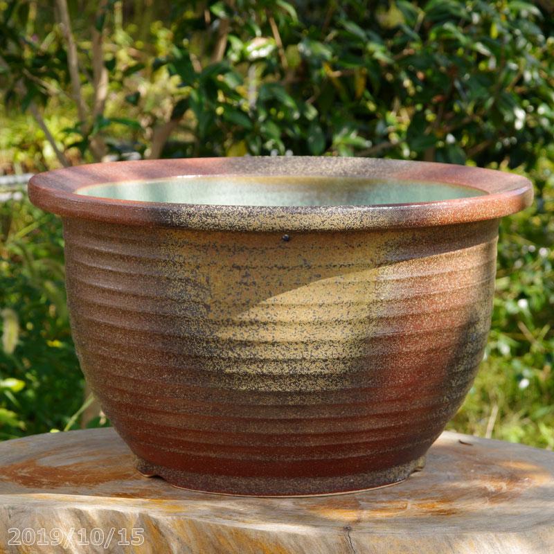 信楽焼 睡蓮鉢　コゲ千段 15号 （水あふれ防止穴有）（外径46cm 高さ26cm）　【送料無料】【産地直送】