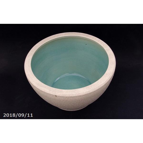 信楽焼 睡蓮鉢　白砂 12.5号（水あふれ防止小穴有） ＋お好きな花ハス8号 ＋田土・肥料　【送料無料】 睡蓮鉢　白砂 5号 水あふれ防止小穴有 ＋お好きな花ハス8号 ＋田土