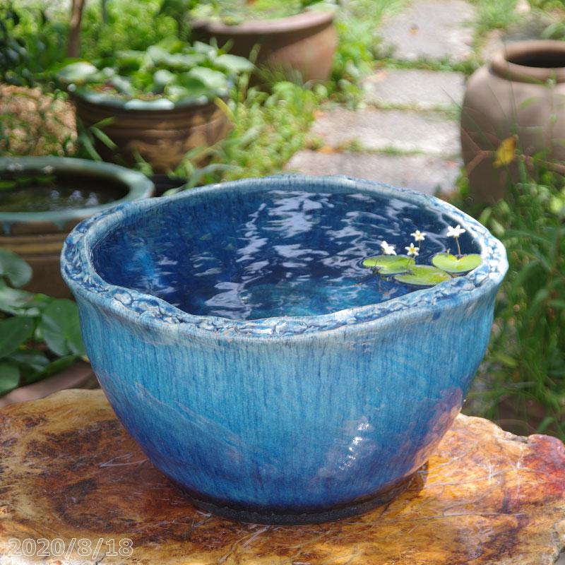 信楽焼 メダカ鉢 睡蓮鉢 水鉢 花瓶 花入れ 片口 高さ22cm