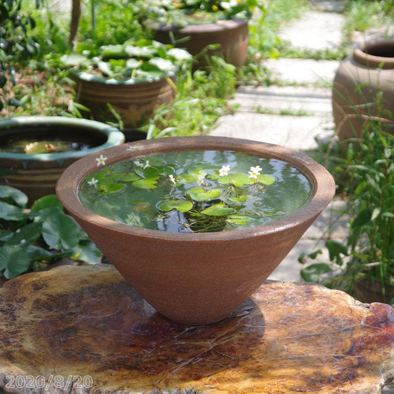 驚きの値段 信楽焼 睡蓮鉢 手づくり 窯肌ソリ水鉢 小 15号 外径43cm 高さcm お好きな水草プレゼント 送料無料 想像を超えての Www Technet 21 Org