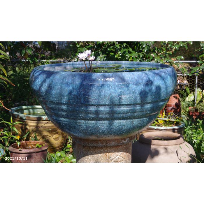 現品・一点物 No.2060】信楽焼 睡蓮鉢 青ガラス水鉢 21号+お 現品・一点物 No.2060】信楽焼 睡蓮鉢 青ガラス水鉢 21号+お
