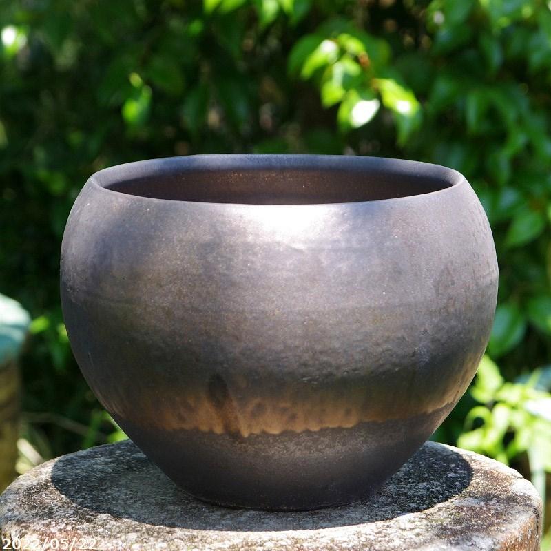 信楽焼 睡蓮鉢 選べる 金彩マット 丸水鉢 8号 【送料無料】 : 石田精華  