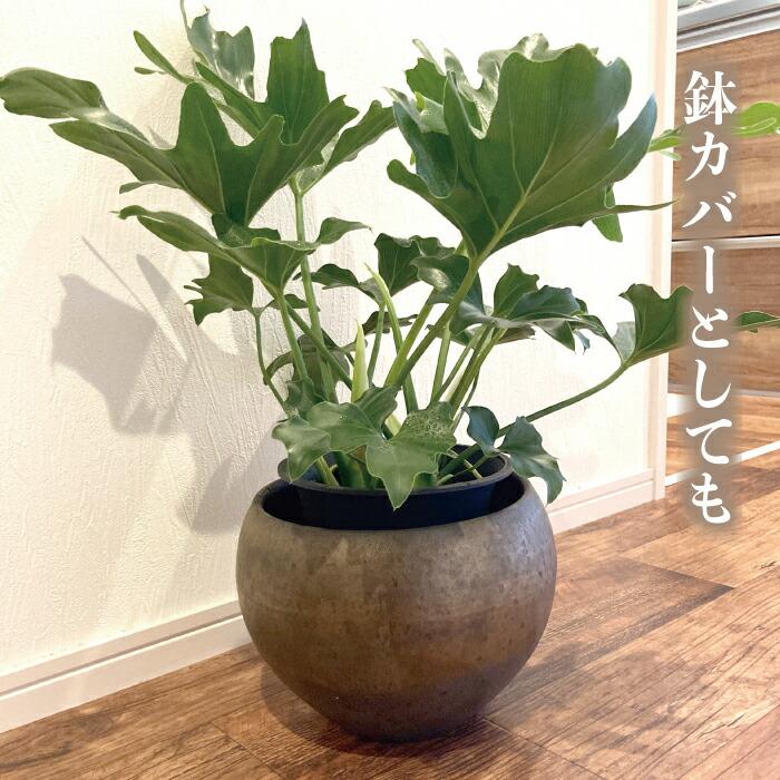 信楽焼 メダカ鉢 睡蓮鉢 水鉢 花瓶 花入れ 片口 高さ22cm