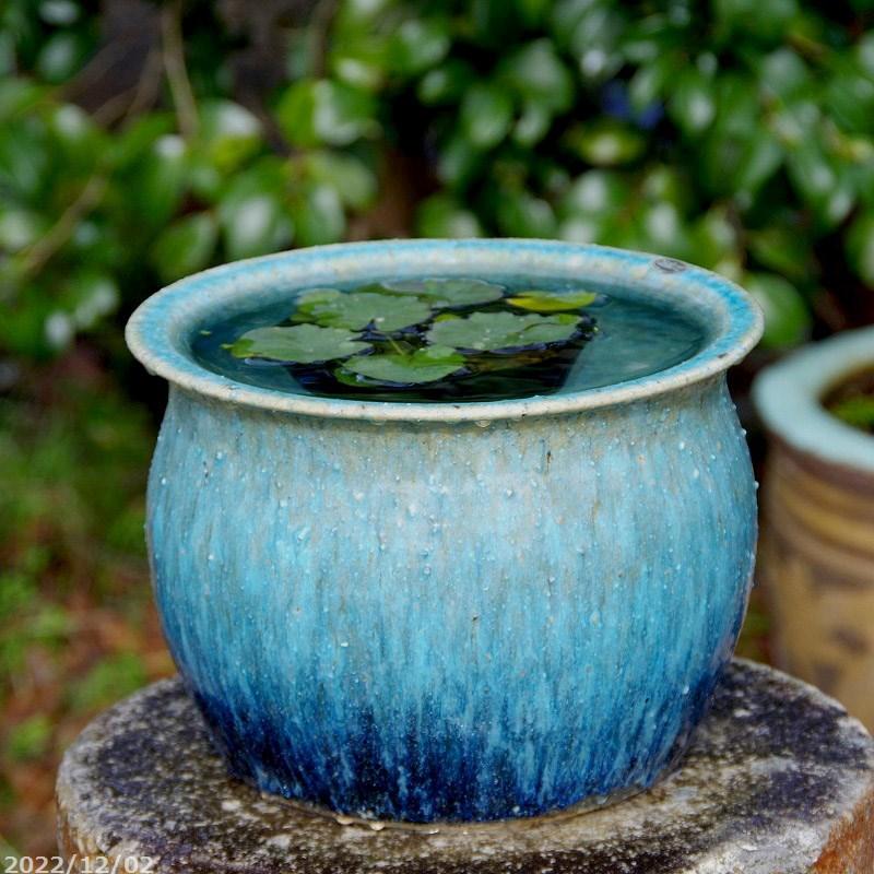 蓮月窯の壺 信楽焼き 注文 