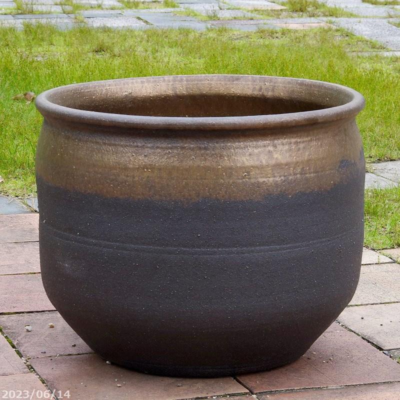 信楽焼 大型メダカ鉢 睡蓮 水鉢 直径55cm