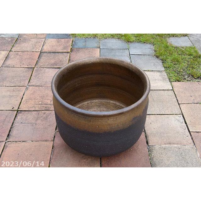 現品・一点物No.0463】信楽焼 睡蓮鉢 陶器 大型 金彩上下掛分け 睡蓮鉢