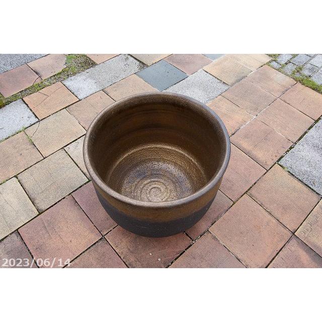 現品・一点物No.0463】信楽焼 睡蓮鉢 陶器 大型 金彩上下掛分け 睡蓮鉢