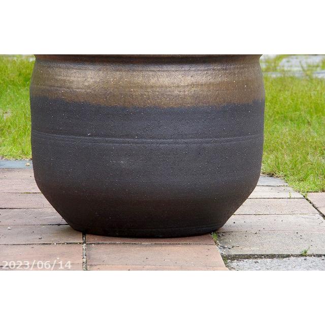 現品・一点物No.0463】信楽焼 睡蓮鉢 陶器 大型 金彩上下掛分け 睡蓮鉢