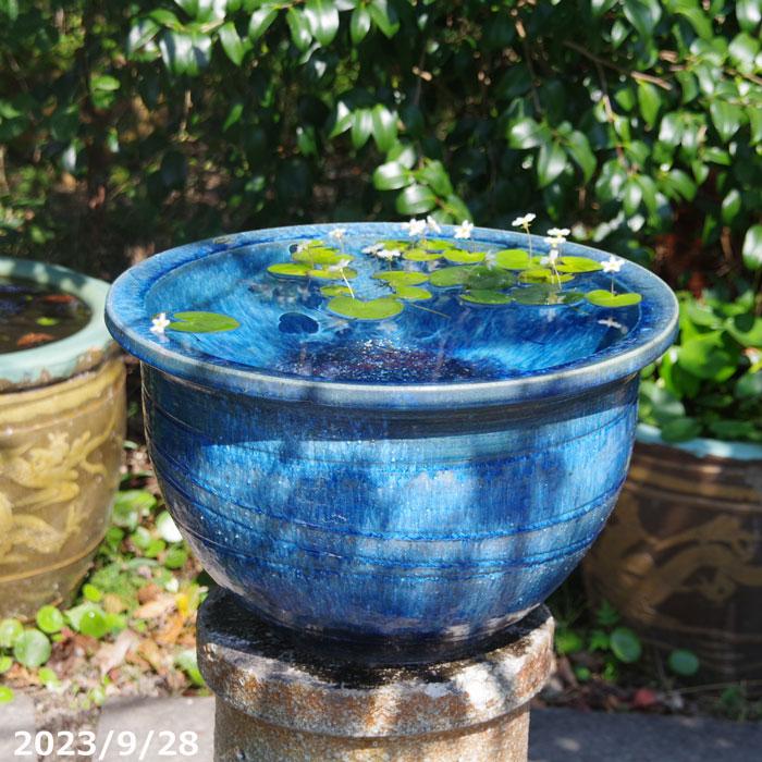 水盤ブルー角形陶器