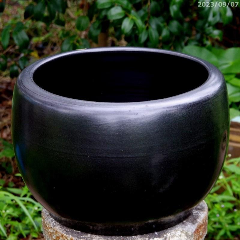 信楽焼 睡蓮鉢 陶器 手づくり 黒マット 火鉢型 水鉢 13号(外径 信楽焼 睡蓮鉢 陶器 手づくり 黒マット 火鉢型 水鉢 13号(外径