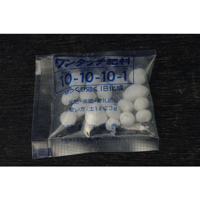 山野草用肥料 純正ib化成 10g 1000袋 Kh 055 石田精華園 Yahoo 店 通販 Yahoo ショッピング