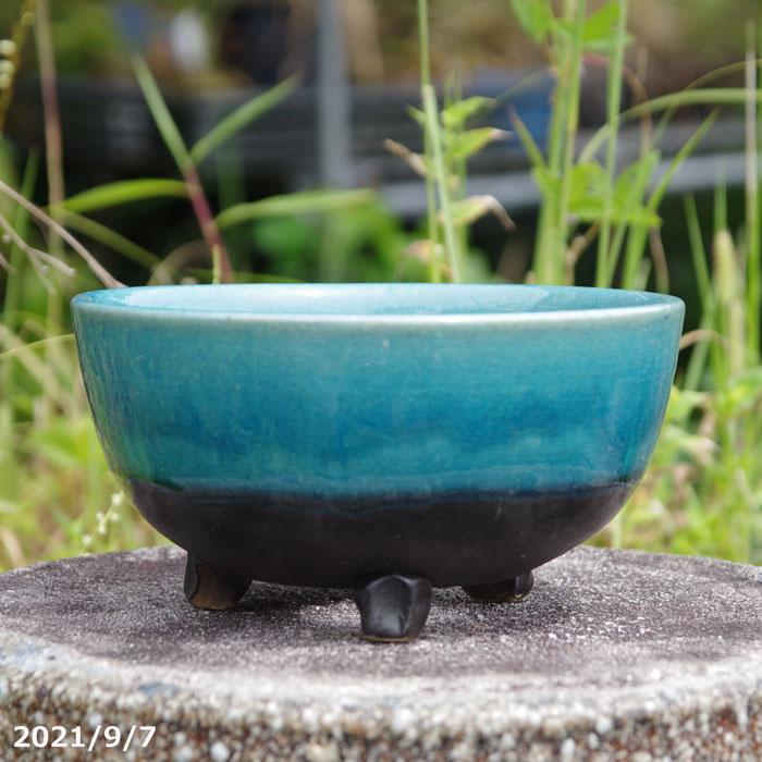 現品No.7495】信楽焼 植木鉢 陶器 青ガラス足付 6号(外径19.0cm 現品No.7495】信楽焼 植木鉢 陶器 青ガラス足付 6号(外径19.0cm