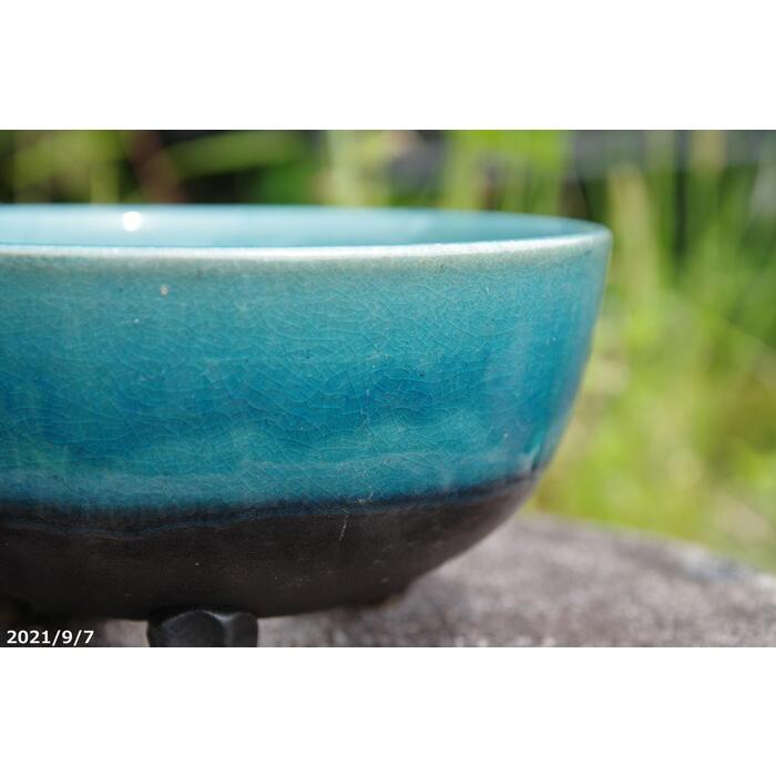 焼き物 盆栽鉢 菊型小鉢 黄土色 黄釉 瀬戸焼 (4号(約12センチ)) – うめ