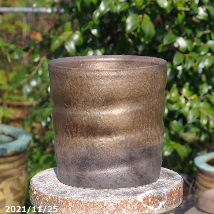 選べる 金彩 寸胴 8号 サナサービス 信楽焼 植木鉢 陶器 : 石田精華園