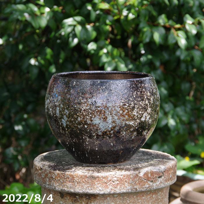 信楽焼 植木鉢 陶器 手づくり 選べる 黒窯変 丸鉢 8号 サナ 信楽焼 植木鉢 陶器 手づくり 選べる 黒窯変 丸鉢 8号 サナ