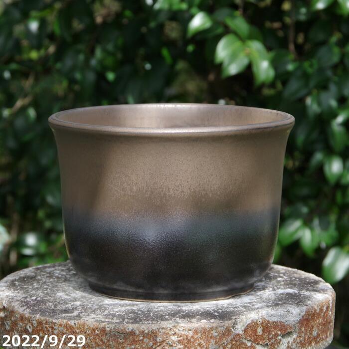 金彩尻丸 7号 サナサービス（外径22cm 高さ15cm）信楽焼 植木鉢 陶器