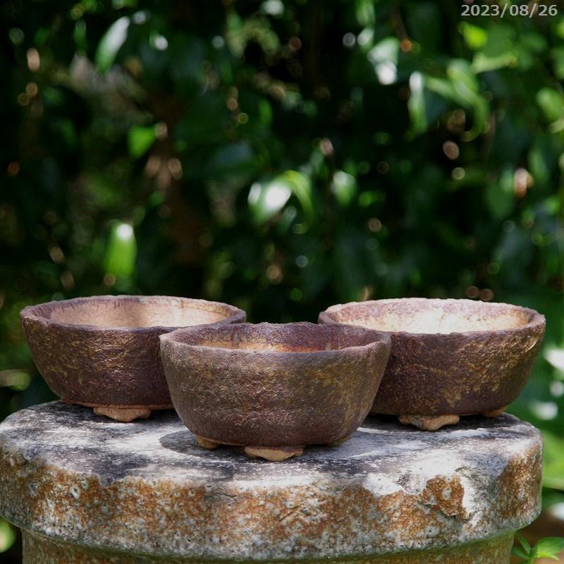 アウトレット(No.3597) 信楽焼 植木鉢 陶器 窯肌浅鉢 4号(外径13 アウトレット(No.3597) 信楽焼 植木鉢 陶器 窯肌浅鉢 4号(外径13