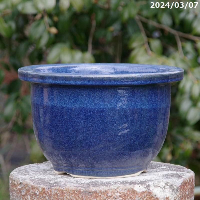 信楽焼 植木鉢 陶器 正規品 生子輪型 9号 サナサービス _Nkr : 石田