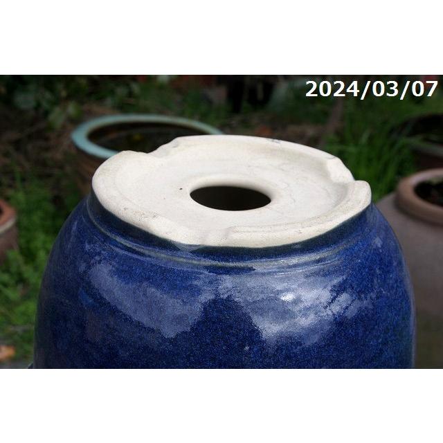 信楽焼 植木鉢 陶器 正規品 生子輪型 9号 サナサービス _Nkr : 石田