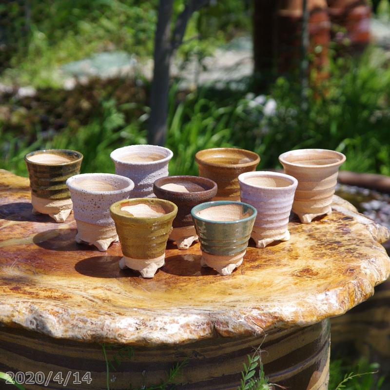 信楽焼 植木鉢 陶器 ロクロ引き手びねり小鉢 2号(5-7cm) 10個 信楽焼 植木鉢 陶器 ロクロ引き手びねり小鉢 2号(5-7cm) 10個