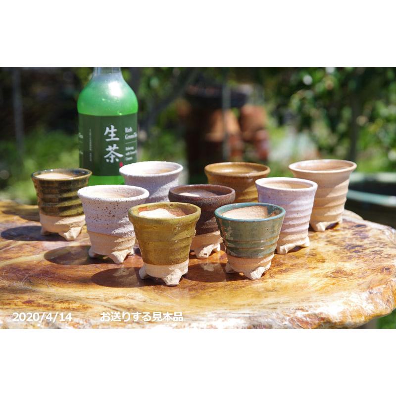 信楽焼 植木鉢 陶器 ロクロ引き手びねり小鉢 2号(5-7cm) 10個 信楽焼 植木鉢 陶器 ロクロ引き手びねり小鉢 2号(5-7cm) 10個