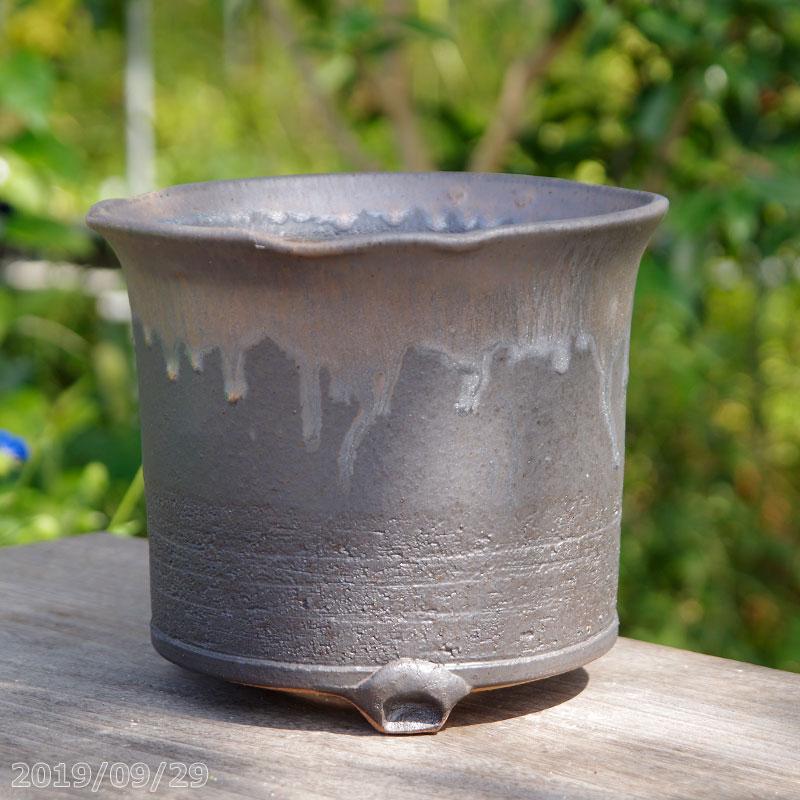 信楽焼 植木鉢 陶器 選べる ソリひねり金彩ビードロ鉢 6.5号（外