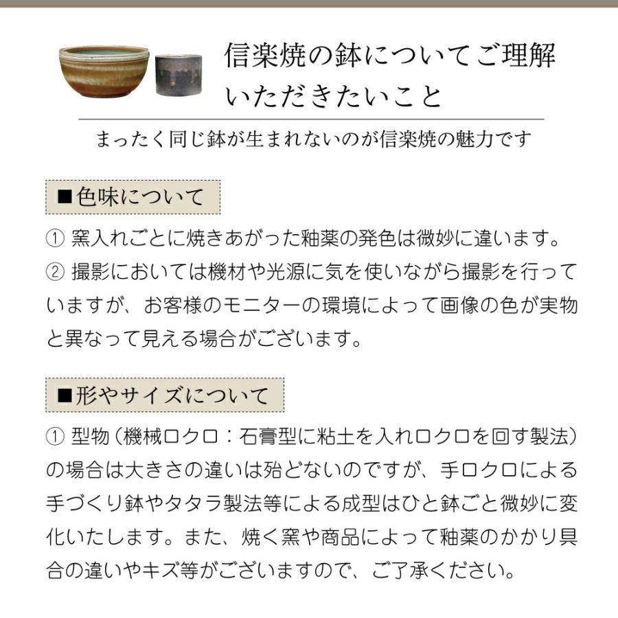 信楽焼 植木鉢　信楽焼伝統工芸士 作家 藤原順 作　選べる 手びねり(ロクロ引き) ビードロ深ソリ  6号サナサービス｜ishidaseikaen｜13