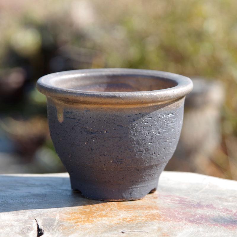 信楽焼 植木鉢 陶器 選べる 縁付金彩中深鉢 3.5号（外径11cm 高さ7.5cm