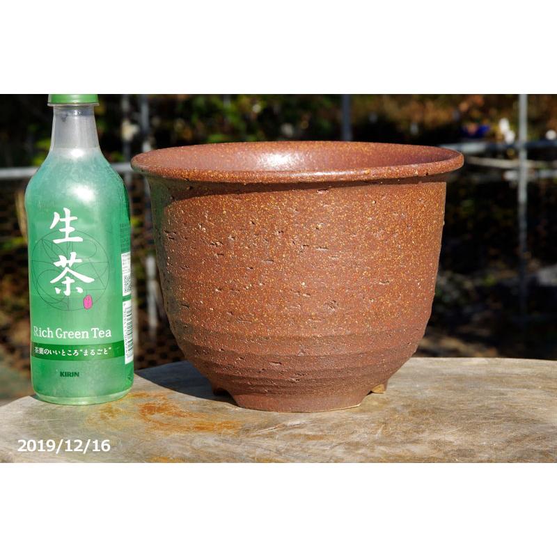 信楽焼 植木鉢 岩石尻丸エビネ鉢 7号(外径21.7cm 高さ16.5cm 信楽焼 植木鉢 岩石尻丸エビネ鉢 7号(外径21.7cm 高さ16.5cm