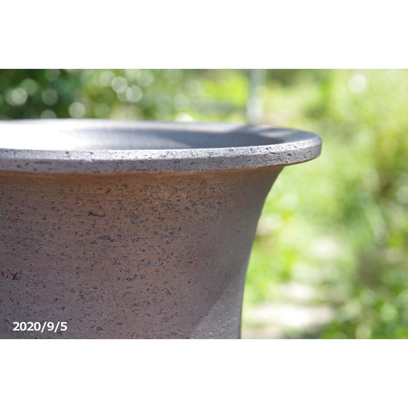 信楽焼 植木鉢 6 5号 サナ付 万年青鉢 外径19 5cm 青銅 高さ17 5cm ー品販売 青銅