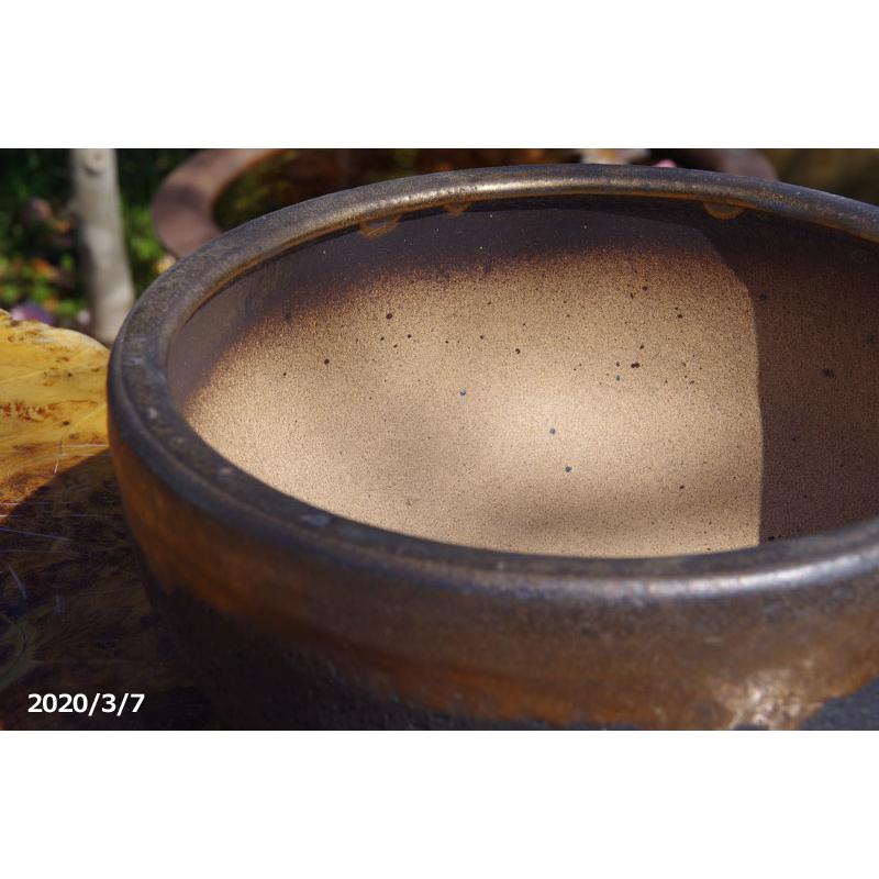 金彩中深 7号 サナサービス 信楽焼 植木鉢 陶器 【山野草鉢 多肉植物鉢