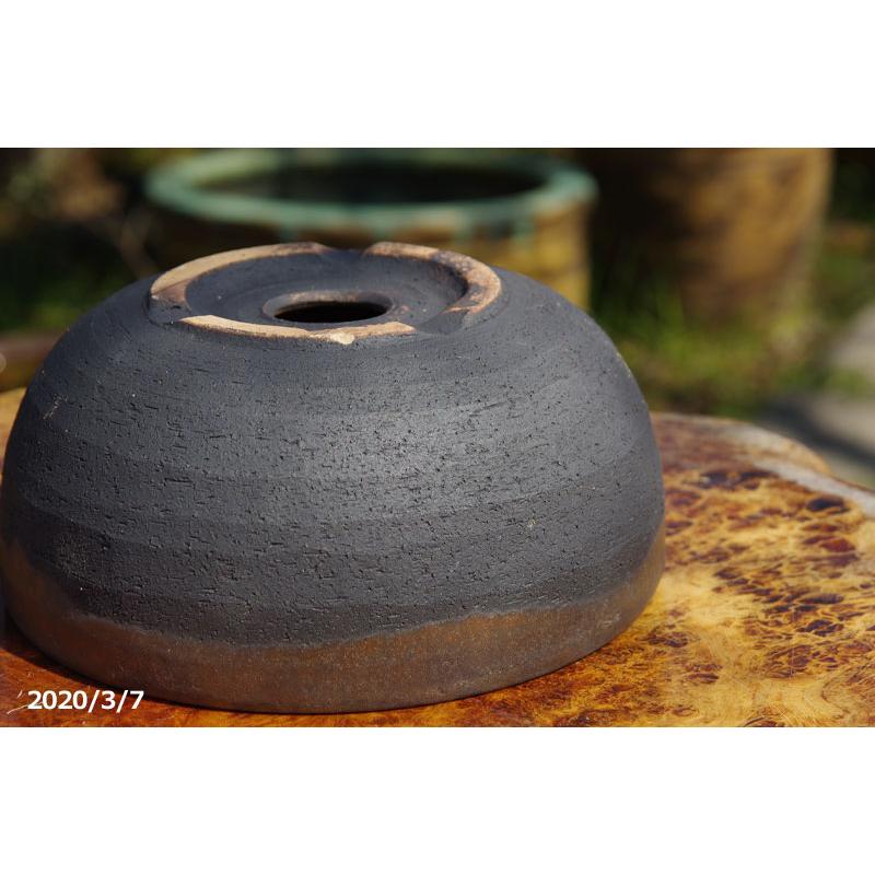 金彩中深 7号 サナサービス 信楽焼 植木鉢 陶器 【山野草鉢 多肉植物鉢