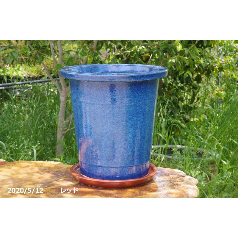 信楽焼 植木鉢 生子懸崖鉢 10号 受皿9号（27cm）セット（4色有