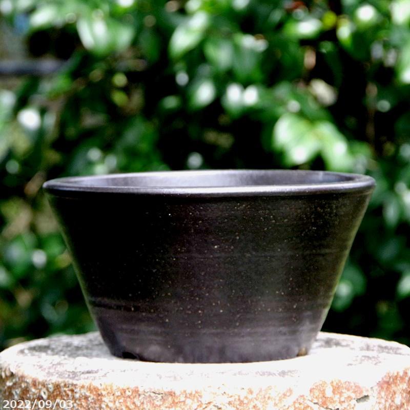 信楽焼 植木鉢 陶器 黒マット 8号 (直径23.5cm 高さ14cm) サナ 信楽焼 植木鉢 陶器 黒マット 8号 (直径23.5cm 高さ14cm) サナ