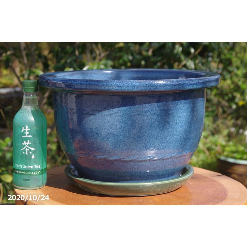 信楽焼 植木鉢 陶器 大型 生子輪型12号(外径36cm 高さ20.5cm 信楽焼 植木鉢 陶器 大型 生子輪型12号(外径36cm 高さ20.5cm