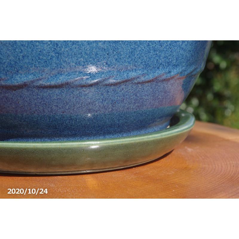 信楽焼 植木鉢 陶器 大型 生子輪型12号(外径36cm 高さ20.5cm 信楽焼 植木鉢 陶器 大型 生子輪型12号(外径36cm 高さ20.5cm