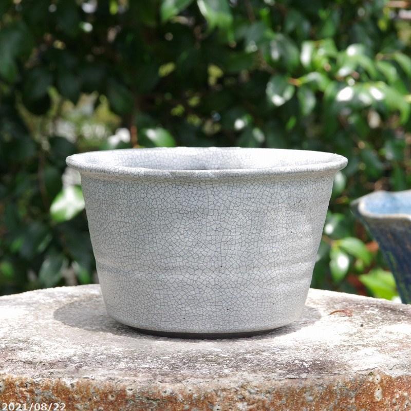 信楽焼 植木鉢 白マット貫入 中深ソリ 5号 15cm サナサービス 送料無料 山野草鉢 多肉植物鉢 サボテン鉢 盆栽鉢 Kk 9 石田精華園 Yahoo 店 通販 Yahoo ショッピング