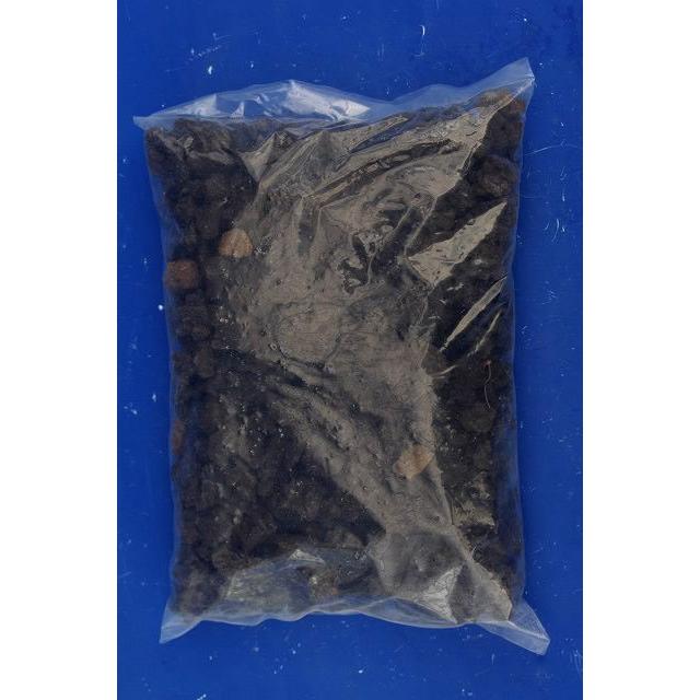 水質濾過用 富士砂 荒目 2l アクアリウム テラリウム メダカの底土 基本用土 園芸用土 Md 022 石田精華園 Yahoo 店 通販 Yahoo ショッピング