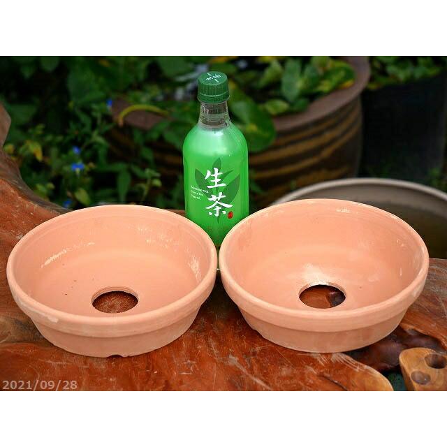 乾きの早い三河焼 素焼き鉢 皿鉢 7号 旧トモエ製 (焼き直し 再生鉢