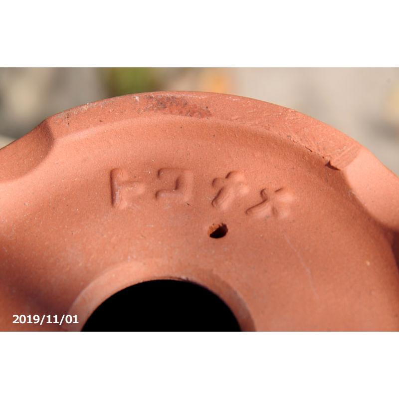 常滑焼 植木鉢 駄温鉢 浅型 6号（直径18cm） : 石田精華園 Yahoo!店