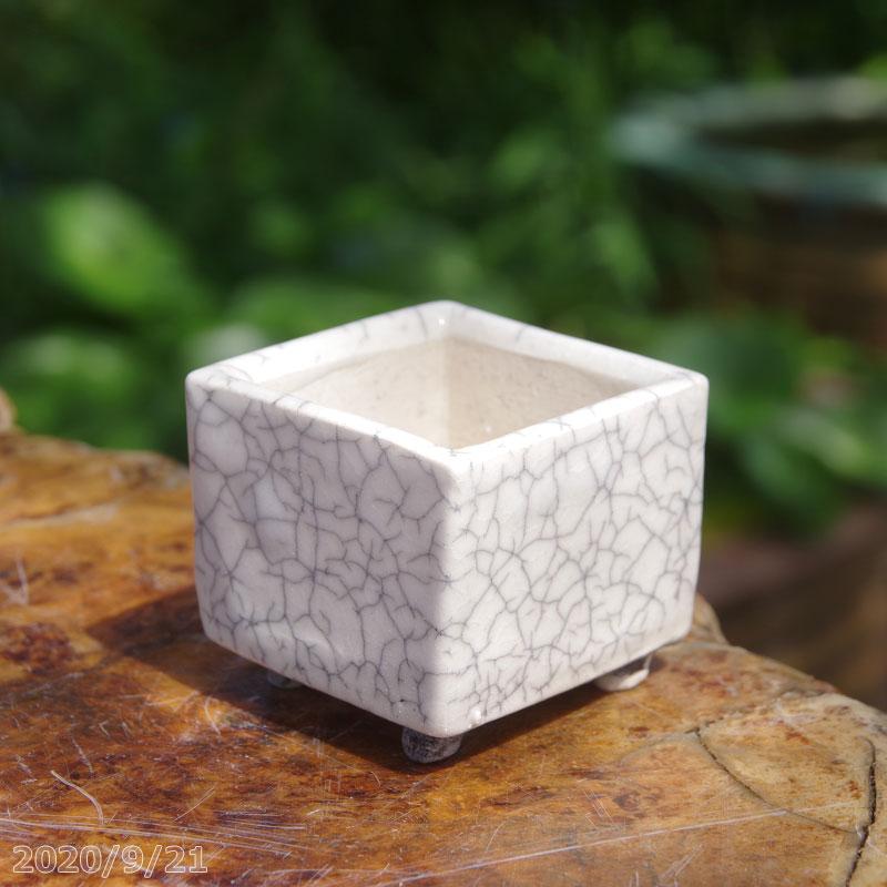 常滑焼 植木鉢 柴勝作 白釉 貫入 正角切立 0 8号 2s 11 小品盆栽鉢 山野草鉢 苔盆栽鉢 下草 Tn 060 石田精華園 Yahoo 店 通販 Yahoo ショッピング