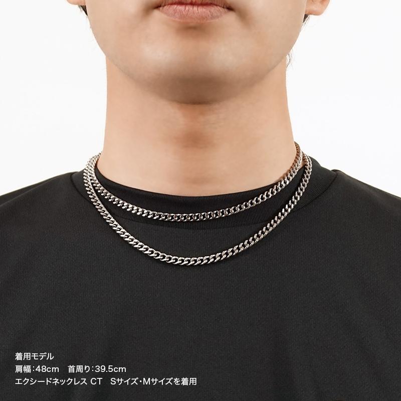 CHRIO クリオ エクシードネックレスCT(チタンシルバー)S43cm CHRIO クリオ エクシードネックレスCT(チタンシルバー)S43cm