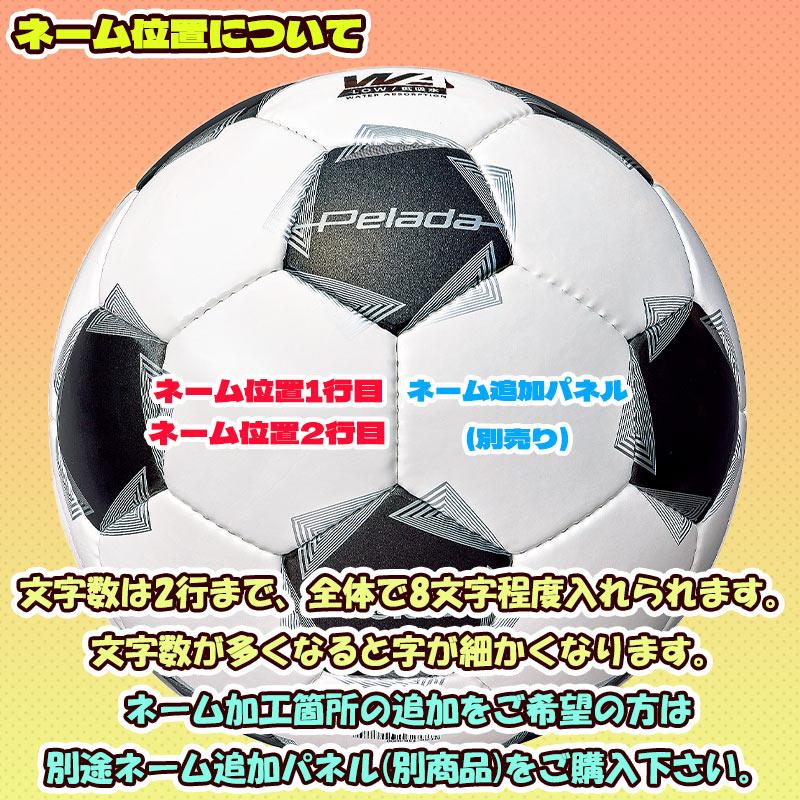 molten（モルテン） 【名入れ無料】 ペレーダ4000 5号球 F5K4000